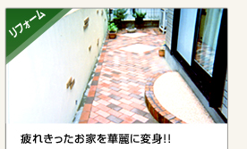 tH[@ꂫƂؗɕϐgII