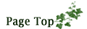 ▲ Page Top ▲