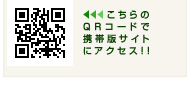 QRR[hŌgєŃTCgɃANZXII
